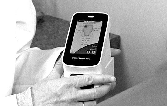 SNAP Pro Analyzer - IDEXX US