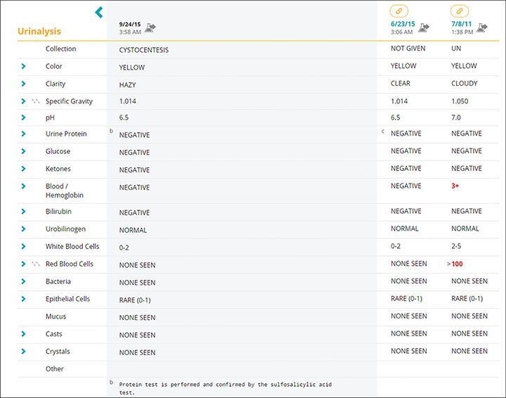 Urinalysis reports screenshot for Bess case study