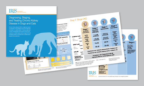 Overview of the International Renal Interest Society (IRIS) guidelines for Chronic Kidney Disease (CKD)