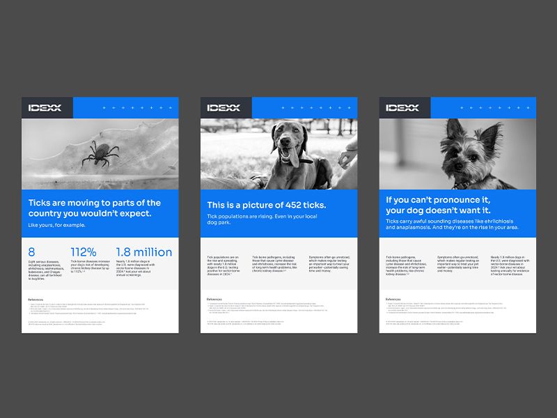 Three tick-borne disease handouts.
