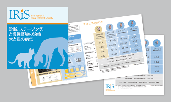 SDMA の高値 - IDEXX Japan