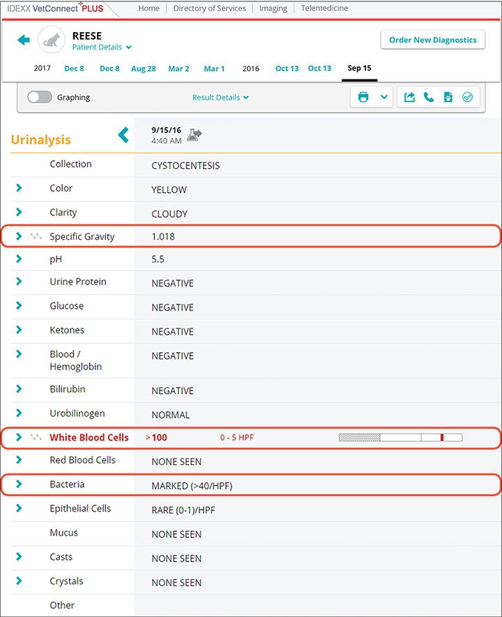 Urinalysis reports screenshot for Reese case study