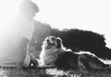 A dog with it's owner in the grass.