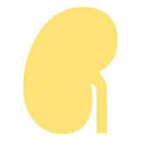 Icon silhouette of a kidney
