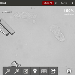 SediVue Dx analyzer image zoomed in to see the details.