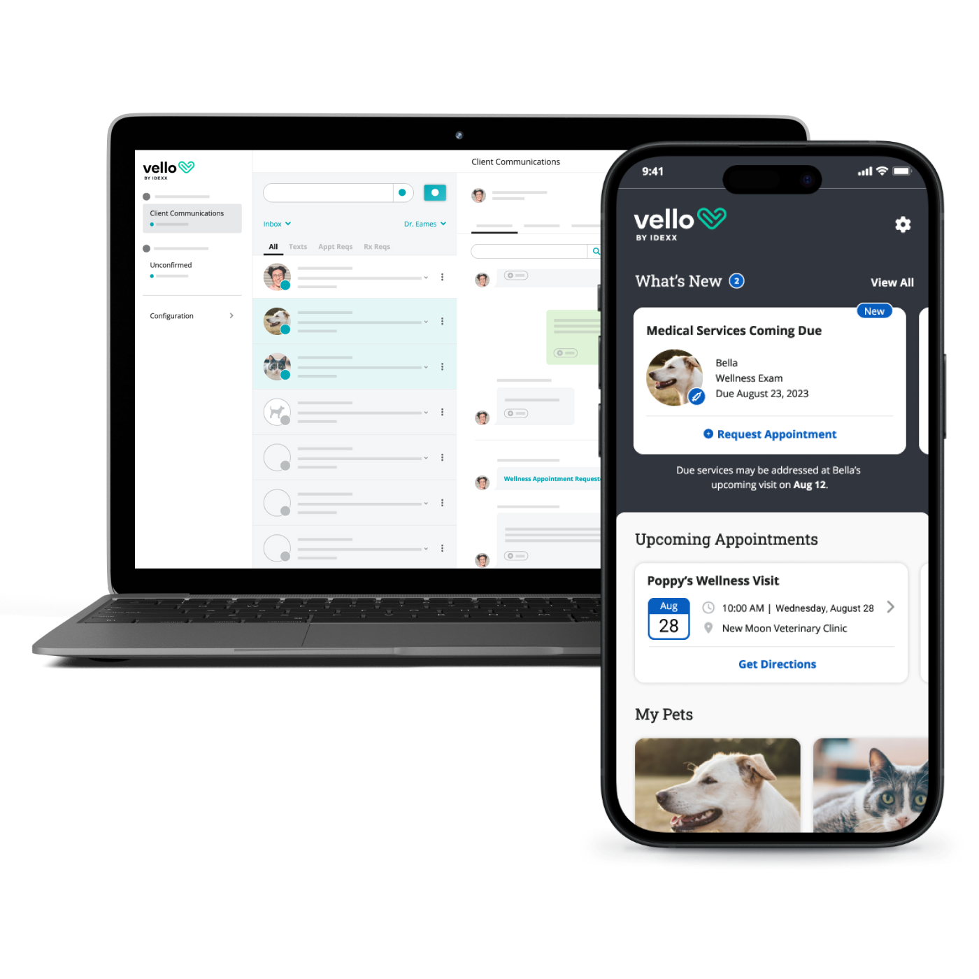 Cornerstone Software FeatureRich Veterinary Software IDEXX US