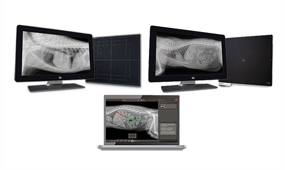 IDEXX digital imaging solutions suite