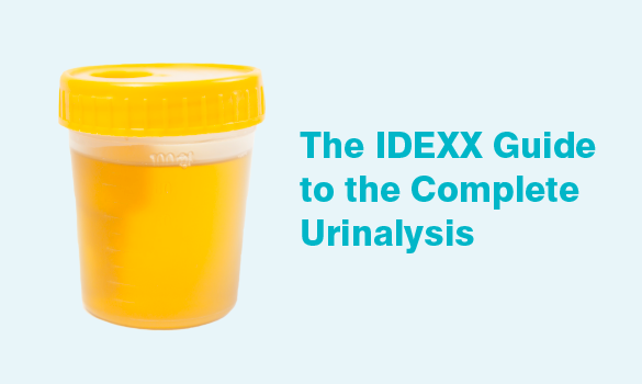Ad graphic of the course named: The IDEXX Guide to the Complete Urinalysis
