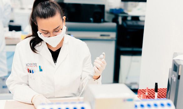 IDEXX laboratory technician using a pipette