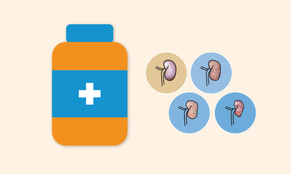 Stage 3 of the IRIS CKD guidelines: treatment