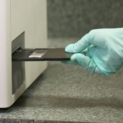 Insert tray into the IDEXX Digital Cytology instrument