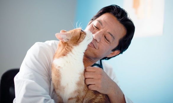 man holding orange and white cat.