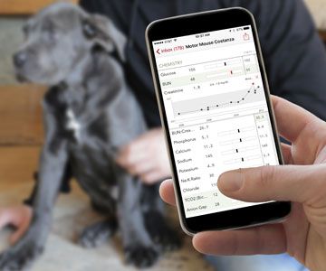 Veterinary Practice Management Software | IDEXX US - IDEXX Australia