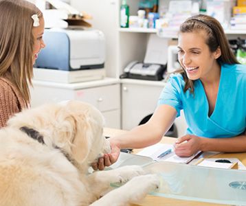 Happy female veterinarian greeting golden retriever and young girl at front desk.