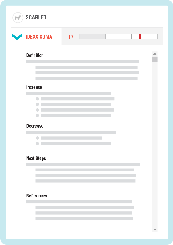 IDEXX VetConnect PLUS Differential Diagnoses IDEXX US
