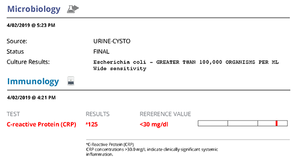 Screenshot of Bella's microbiology and immunology report