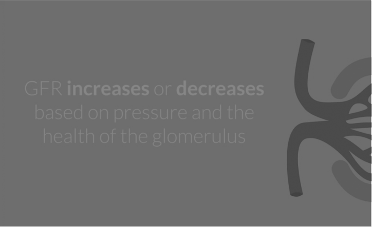 GFR increases or decreases based on pressure and the health of the glomerulus.