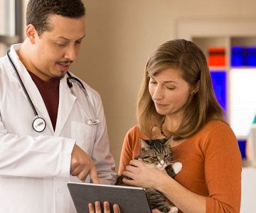 Veterinarian and cat owner looking at information on a tablet