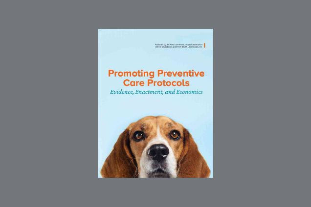 Cover of Promoting Preventive Care Protocols brochure.