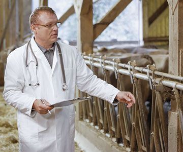Veterinarian with clipboard.