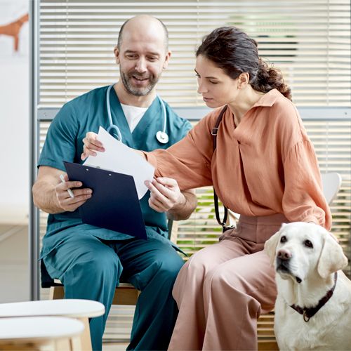 A veterinarian having a discussion with a pet owner.