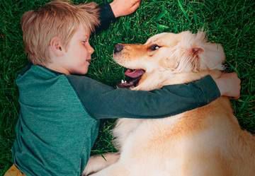 Boy in grass with arm around his golden dog