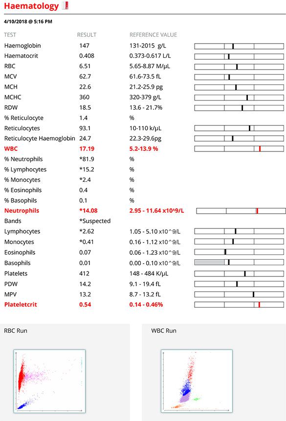 Screenshot of Custard's urine haematology report