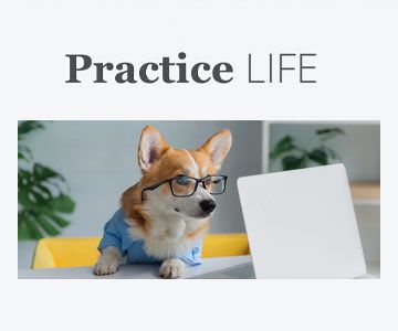 Practice Life website