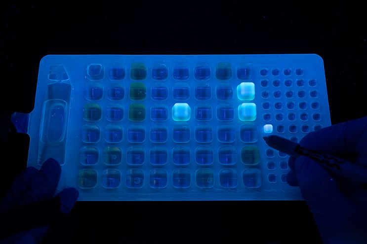 UV Viewer PLUS cabinet. Quickly read fluorescent results - IDEXX