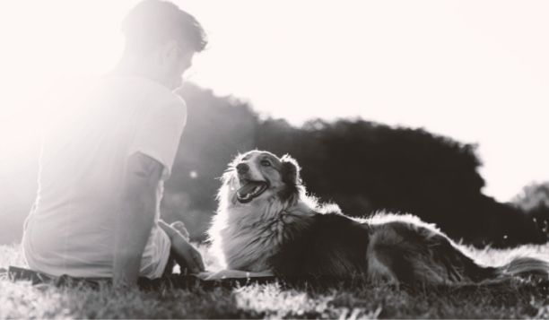 Photo of man with a dog in a field with bright sunshine.