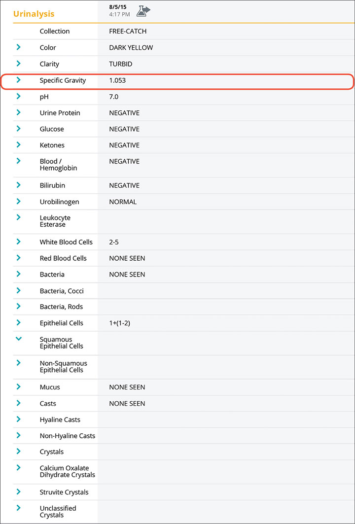 Urinalysis reports screenshot for Mary Jane case study