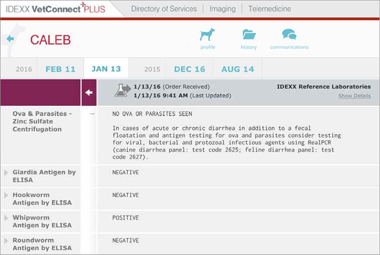 Screenshot of Caleb's test results in VetConnect PLUS