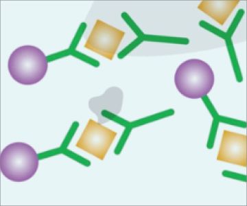 Graphical representation of fecal antigen technology