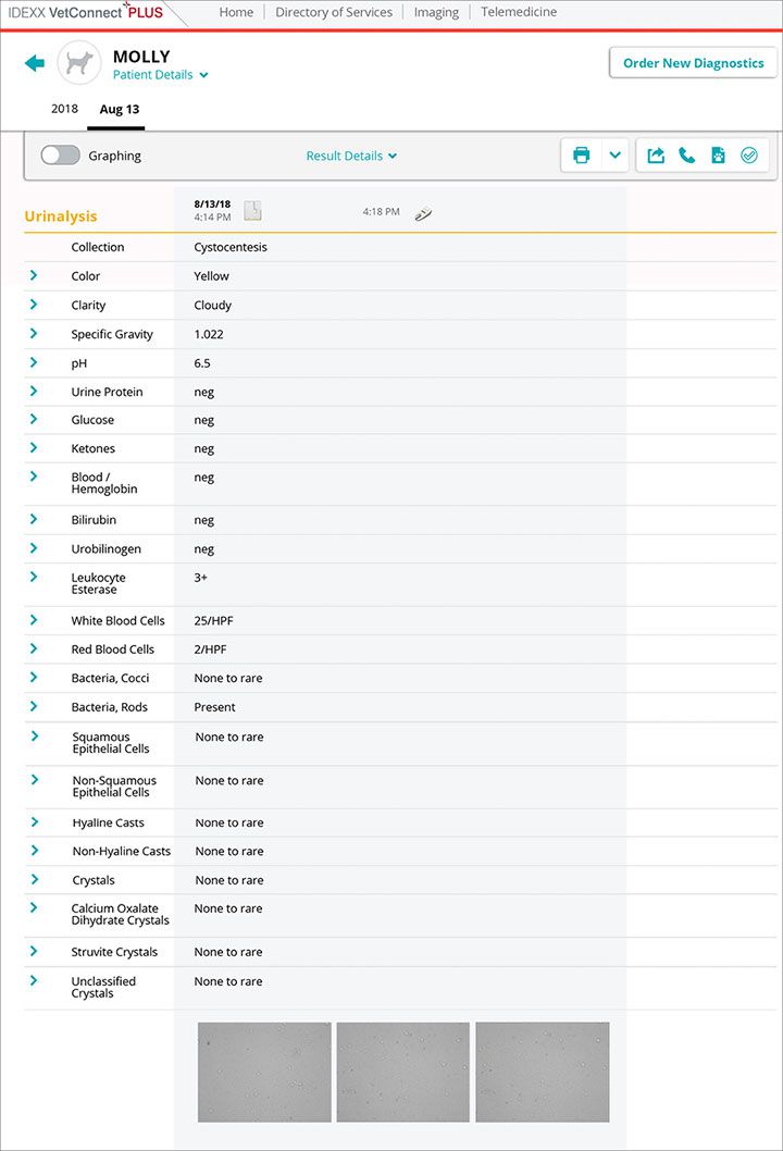 Urinalysis reports screenshot for Molly case study