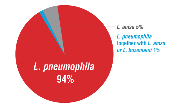Pie chart of species of Legionella in building water