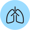 Icon of lungs.