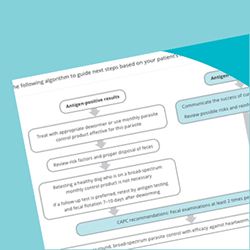 Image of detailed diagnostic algorithm