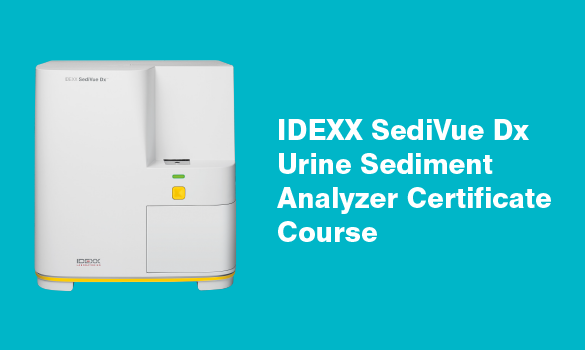Ad graphic of the course named: IDEXX Sedivue Dx Urine Sediment Analyzer Certificate Course