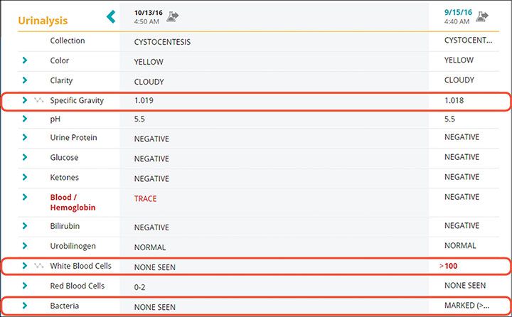 Urinalysis follow up reports screenshot for Reese case study