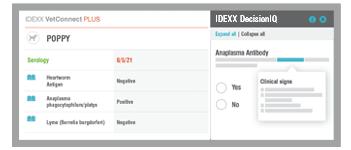 Clinical decision support screen in VetConnect PLUS software