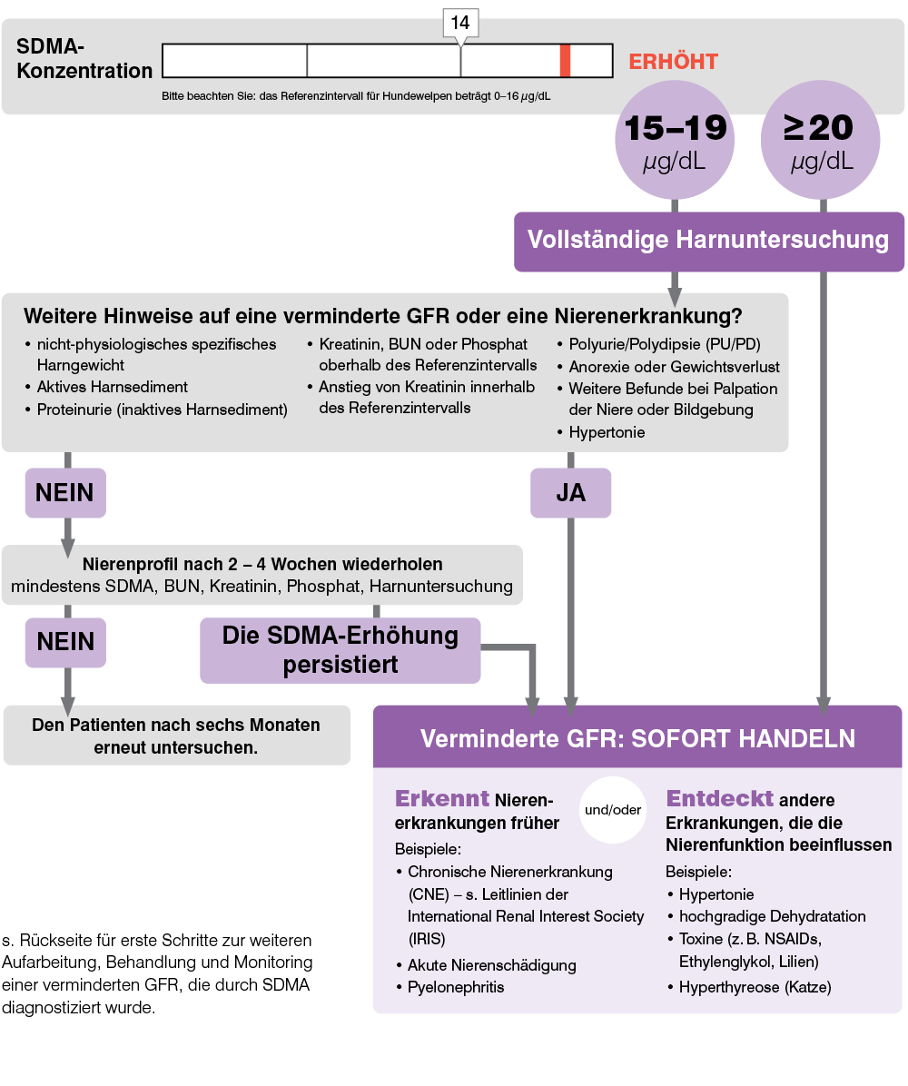 kondensator Biskop Forbindelse Interpretation Ihrer SDMA-Ergebnisse - IDEXX Germany