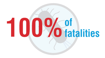 100% of Legionnaires disease fatalities in the US