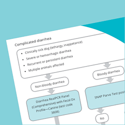 Image of detailed diagnostic algorithm