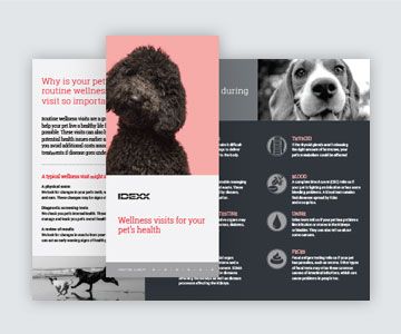 Preventive care brochure.