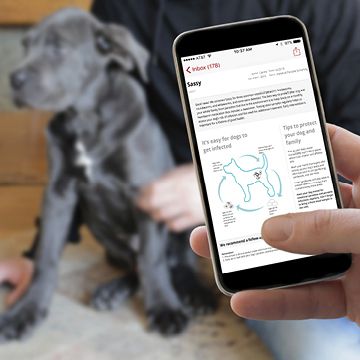 Man looking at VetConnectPLUS client friendly summary on iPhone