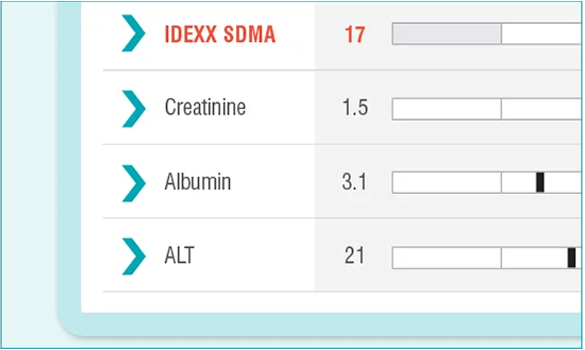 VetConnect Plus diagnostic results with elevated IDEXX SDMA.