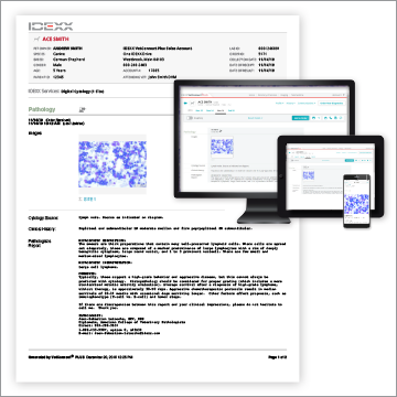VetConnect PLUS results shown on desktop, tablet, and phone
