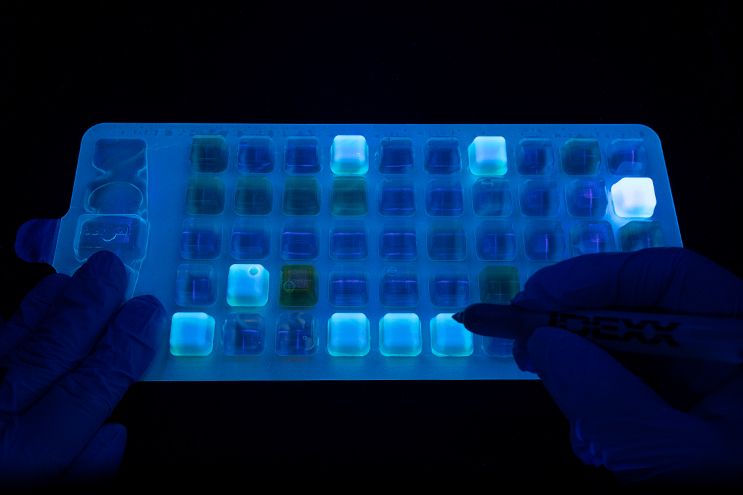 UV Viewer PLUS cabinet. Quickly read fluorescent results - IDEXX