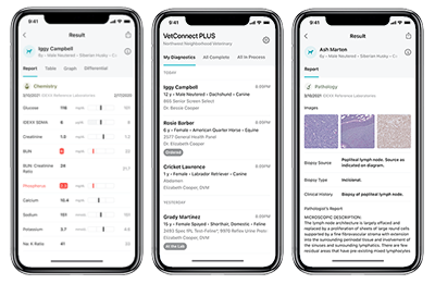 3 VetConnect PLUS mobile app screens: reports view, My Diagnostics, and pathology/cytology report