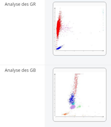 Capture d'écran du rapport dot plot